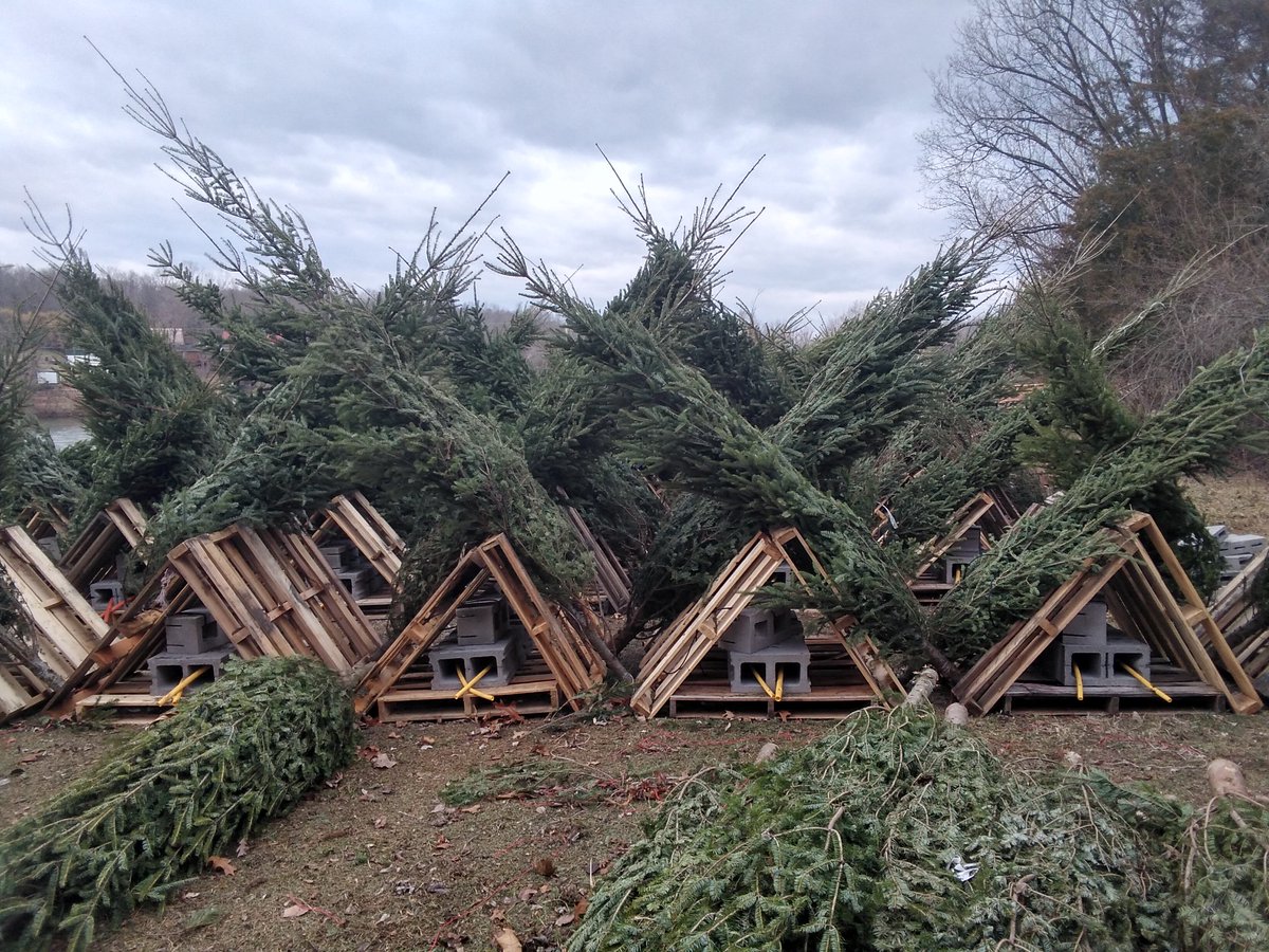 kyfisheriesc's tweet photo. It was a very windy day finishing up habitat work on #BeaverLake. This week almost 2,100 Christmas trees &amp; 40 wooden pallet structures were used to refurbish 31 habitat sites throughout the lake. Thanks again to all the volunteers and #KDFWR staff that assisted with this project. https://t.co/RTS5y1DPo3