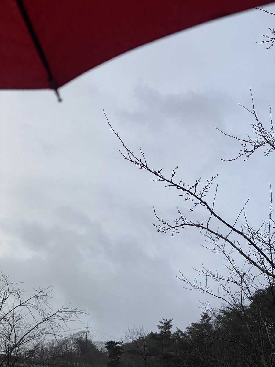 ssena__big's tweet photo. 비가와서 나갈까말까 고민하다가 아침먹고 나갔다와버렸다.
주룩주룩 많이오진 않지만 빗소리가 좋았다.
하지만 우산들고다니는건 싫어😭
#울산 #세자리 #뚱녀 #뚱뚱 #비떱 #BBW #아침산책 https://t.co/qnFZojUyBj