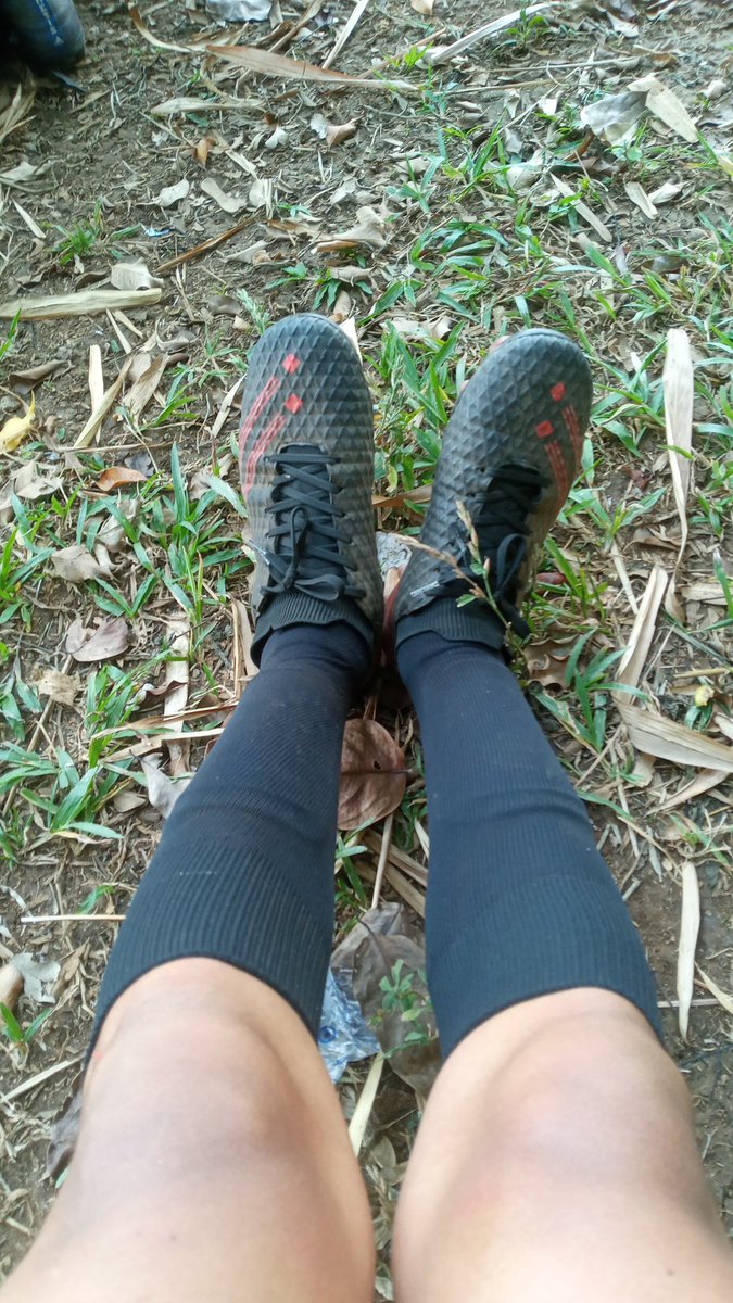 TrainerJonyM's tweet image. Fulvo 💝💝💝