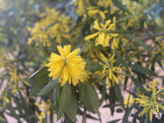 My blog is 16 years old. Older than two of my three children. Still never been kissed. thisweekfordinner.com/sixteen-years-…