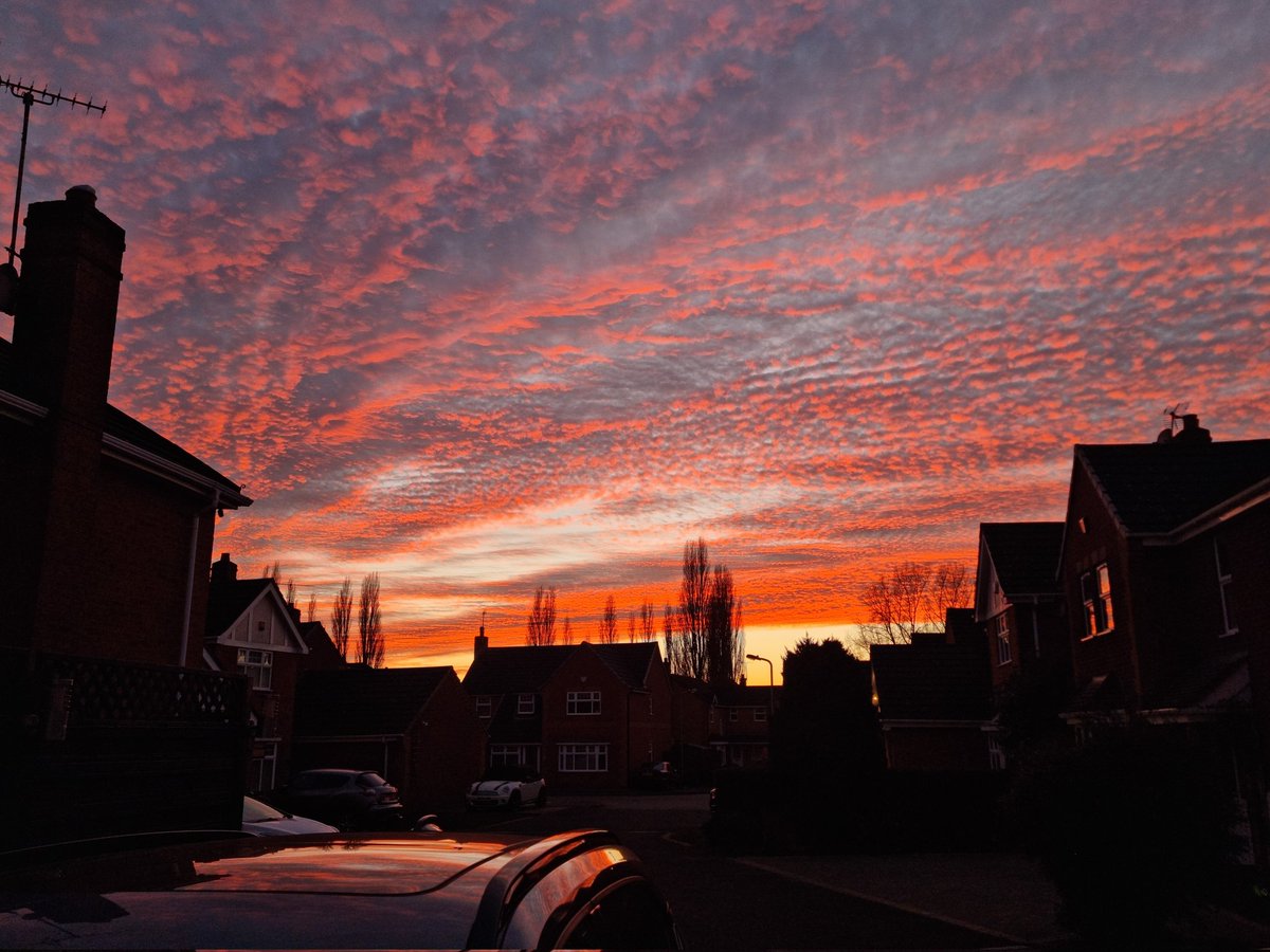 zsim__'s tweet image. 