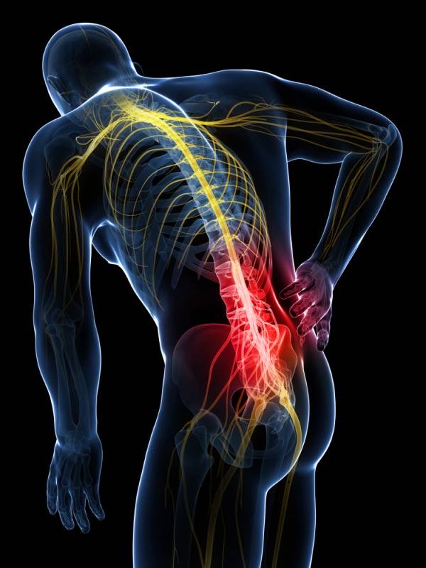 PainHaikus's tweet photo. Lumbar region, why?
I did nothing to you. 
What’s compensating?

#ChronicPainHaikus https://t.co/KUgANYlYuu