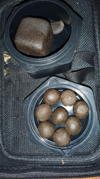 Foto enviada por seguidor 🍁