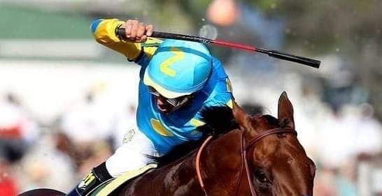 donguima's tweet photo. ALERTA. Desde el próximo 1 de mayo, el hipódromo de Palermo empezará a aplicar un nuevo reglamento para el uso de la fusta. Se permitirá un máximo de 10 golpes durante toda la carrera y sólo 5 en los últimos 200 metros.
#turf #caballos #jockey #GH #Ifha @osafweboficial https://t.co/nJBqs3DGM3