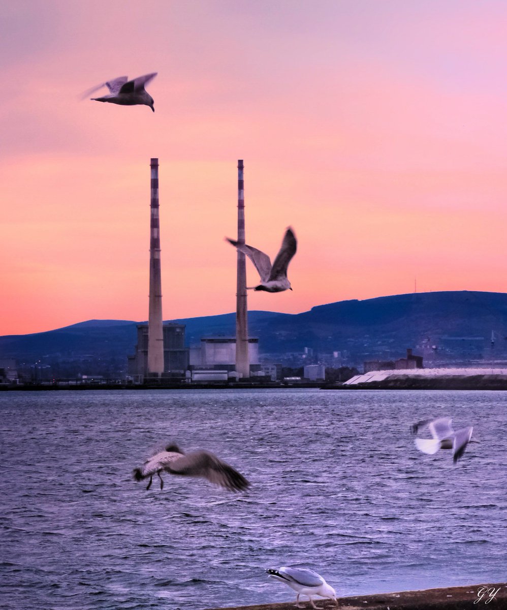 🕊🦢
@LovinDublin @Dublin_ie @PhotosOfDublin @DiscoverIreland @discoverirl @Failte_Ireland @IrelandB4UDie @TourismIreland @FollowIreland @igersdublin @IrishTimes @98FM @FM104 @NatGeoPhotos @VisitDublin