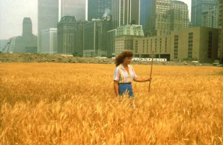 Streaming Museum tweet media