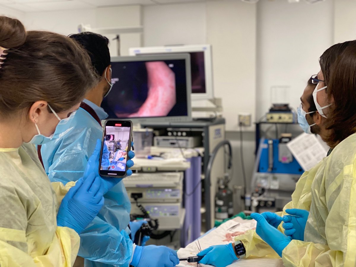 Shaleen Vasavada (@shaleenvasavada) on Twitter photo Had a blast scoping and testing out a novel device for esophageal adenocarcinoma detection with <a href="/TAMUmedicine/">Texas A&M Medicine</a> EnMed & <a href="/RiceUniversity/">Rice University</a> colleagues today! Thanks to <a href="/anandasabapathy/">Sharmila Anandasabapathy</a> for the opportunity! <a href="/bcm_gihep/">BCM Gastroenterology</a> #Innovation #MedTech #GITechnology Had a blast scoping and testing out a novel device for esophageal adenocarcinoma detection with <a href="/TAMUmedicine/">Texas A&M Medicine</a> EnMed & <a href="/RiceUniversity/">Rice University</a> colleagues today! Thanks to <a href="/anandasabapathy/">Sharmila Anandasabapathy</a> for the opportunity! <a href="/bcm_gihep/">BCM Gastroenterology</a> #Innovation #MedTech #GITechnology