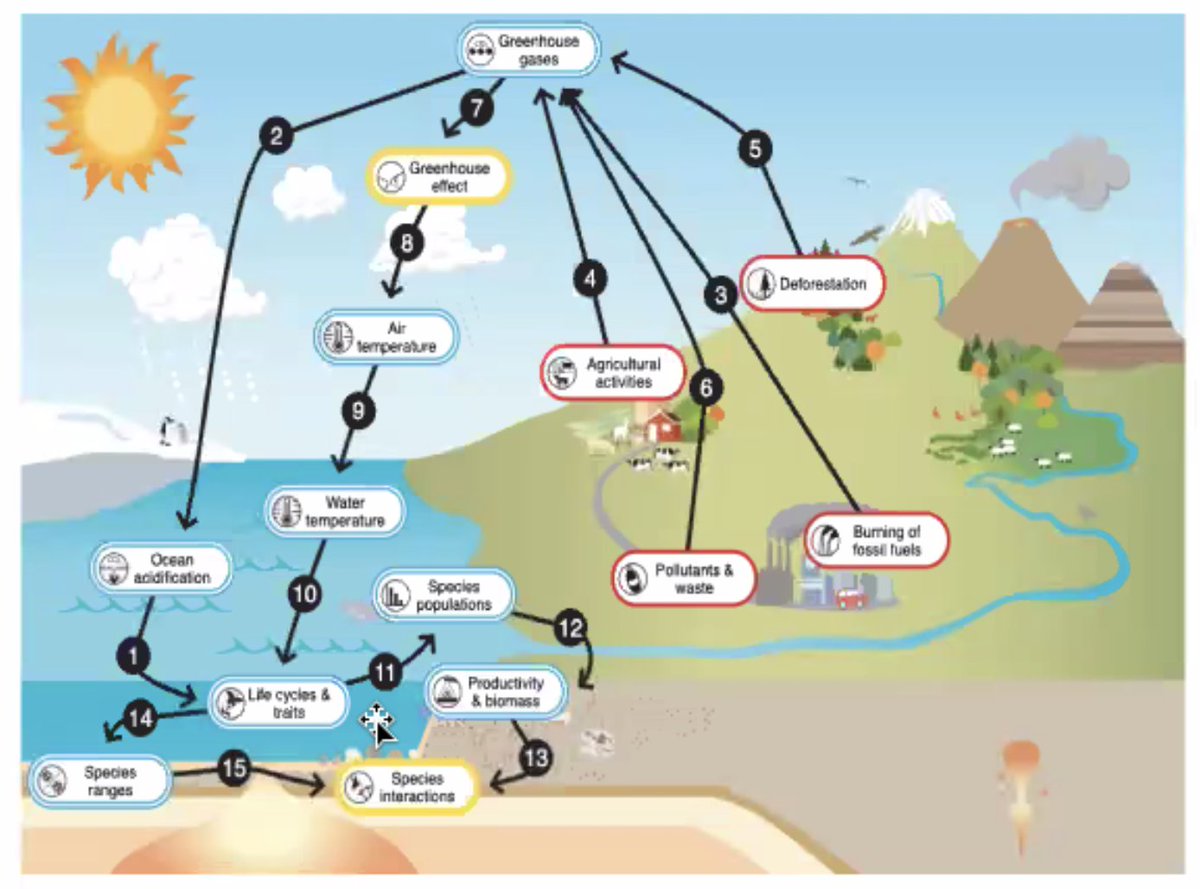 Excited to dig into all the resources on <a href="/undglobalchange/">Understanding Global Change</a> site! For any teacher engaging students with #ClimateChange, #EarthScience, the four spheres, making and revising models, and more, you are going to LOVE what they have! #SystemsThinkingSighting ugc.berkeley.edu