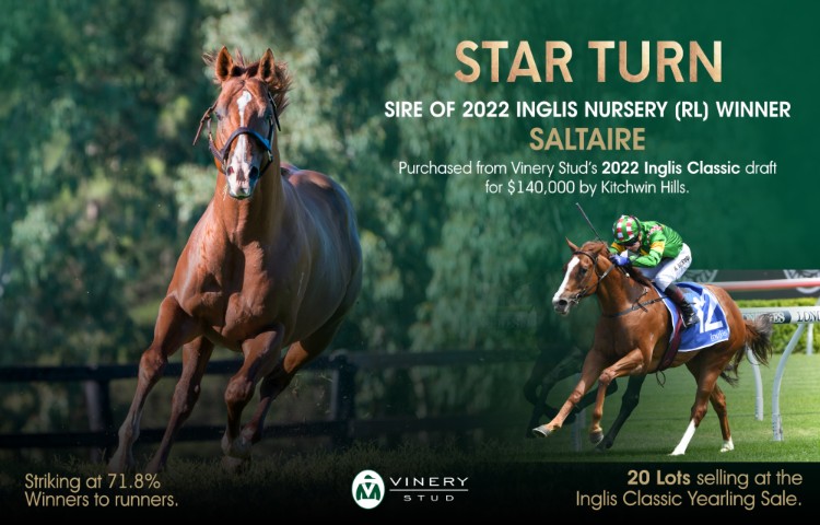 💛STAR TURN💛

@VineryStud

Sire of 2022 R. Listed Inglis Nursery winner 

🏆SALTAIRE🏆

Striking at 71.8% winners to runners❕❗

20 lots selling at the @inglis_sales Classic Ylg Sale...⬇️
inglis.com.au/sales/info/202…