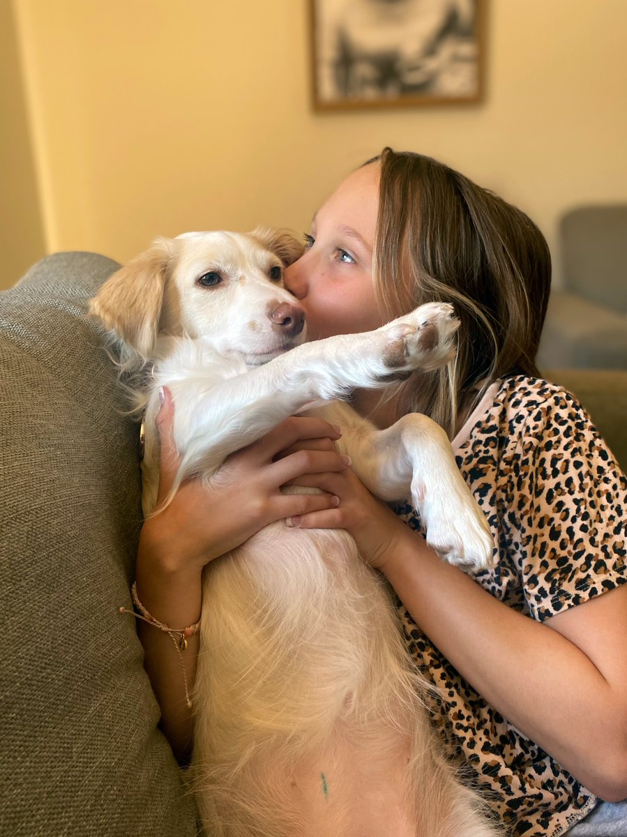 CWOB's tweet photo. ❤️What a #transformation❤️ Can you believe this is the same dog? Loreta came to us as a tiny, mangey pup in Mexico. She was utterly adorable and pathetic, covered in itchy &amp; uncomfortable scabs. Check out the photos we got from her loving adopters today. #Compassion is the Answer https://t.co/vdZiujzMVS