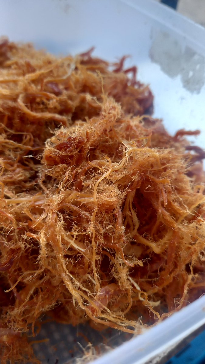 2014Penan's tweet photo. #เหนียวหมูร้อยล้าน ตาหนั่น เหนียวหมู 💥⚘️
รับจัดข้าวกล่อง ราคาประหยัด 20 บาท 
☎️096-090-2413 ชัยภูมิ ในเมือง https://t.co/dDOS0uUD1J