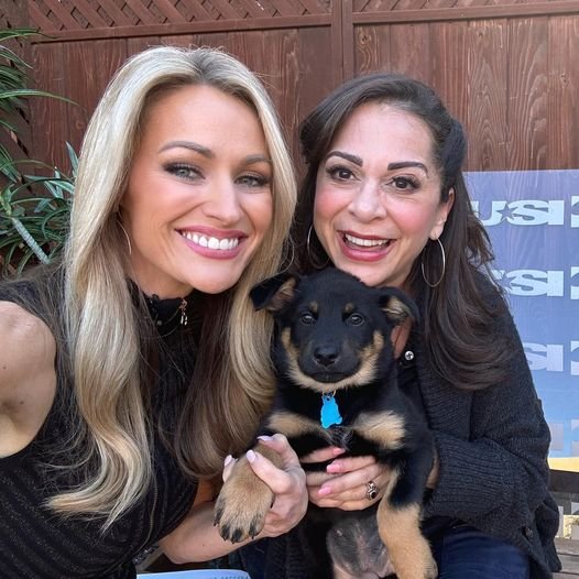 KUSINews's tweet photo. Looking for a new furry friend? The Helen Woodward Animal Center (@HWAC) has the CUTEST dogs who are ready to be adopted.

This is "Riley," who was born in a litter of nine. https://t.co/zYOgMb8Ycw