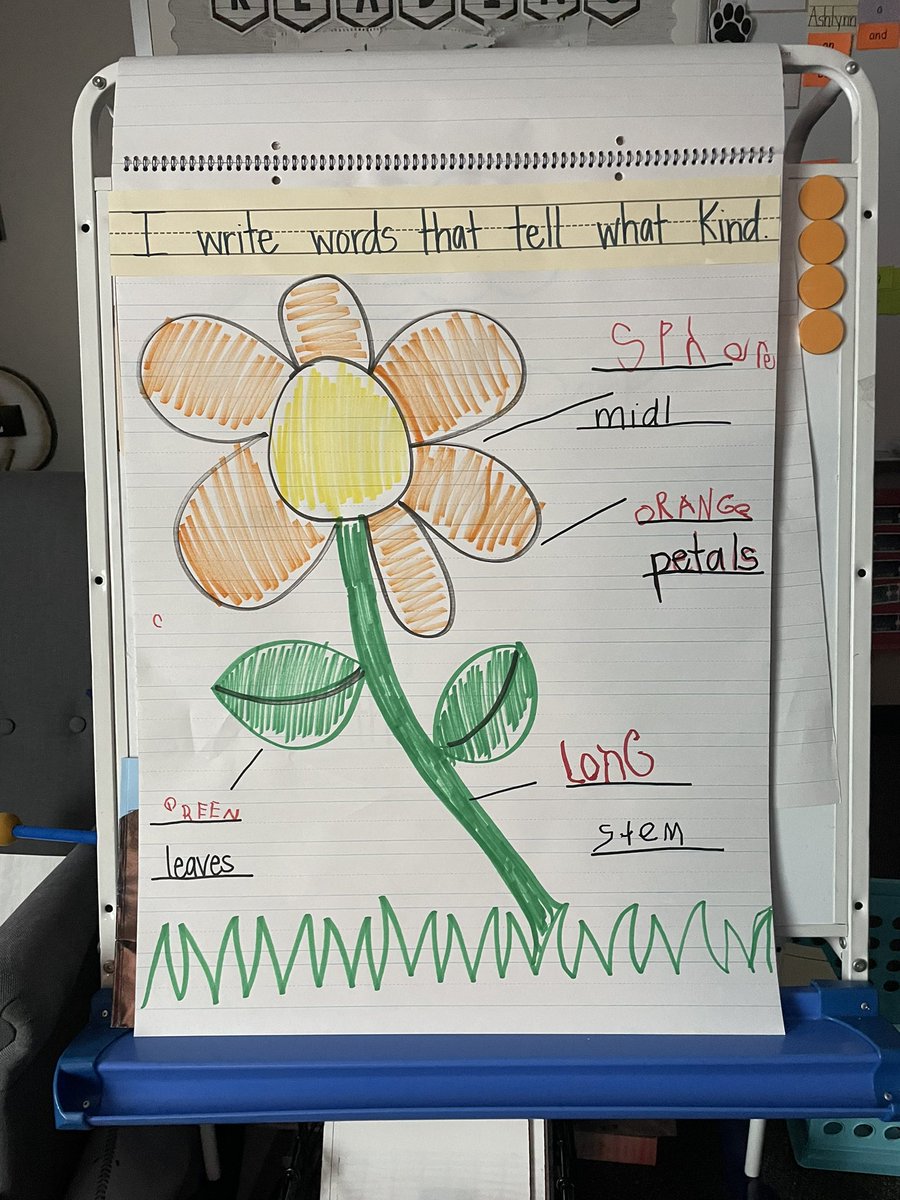 A little shared reading and writing moment this morning! I’m so proud of all their hard work in using what we know about words and their sounds and telling what kind 👊🏼💥📚