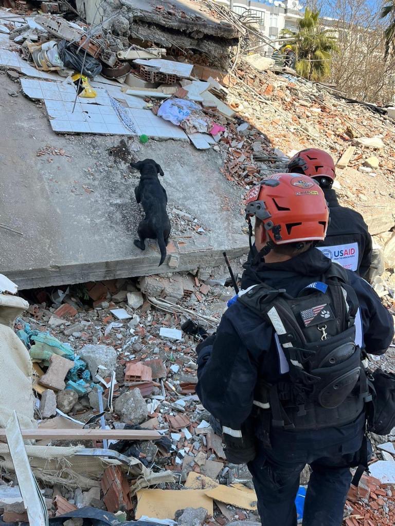 CAgovernor's tweet photo. California search and rescue teams have arrived in Turkey and Syria following devastating earthquakes.

In coordination with @USAID and @LACOFD, @Cal_OES dispatched crews that are helping communities recover and carry out emergency operations. https://t.co/hNGEWFIY4I