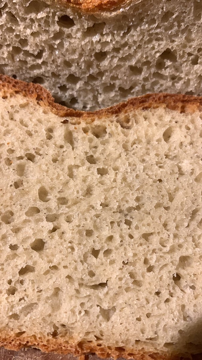 GingerbreadBake's tweet photo. Really nice crust. Decent structure. And the taste is really lovely actually. Has a real depth to it. Slightly nutty perhaps, or earthy. Very interesting. Itโs slightly over-proved which is why the slash sunk. Iโll do better next time. #FavaBeanFlour #BeansInToast https://t.co/A3KegucAji