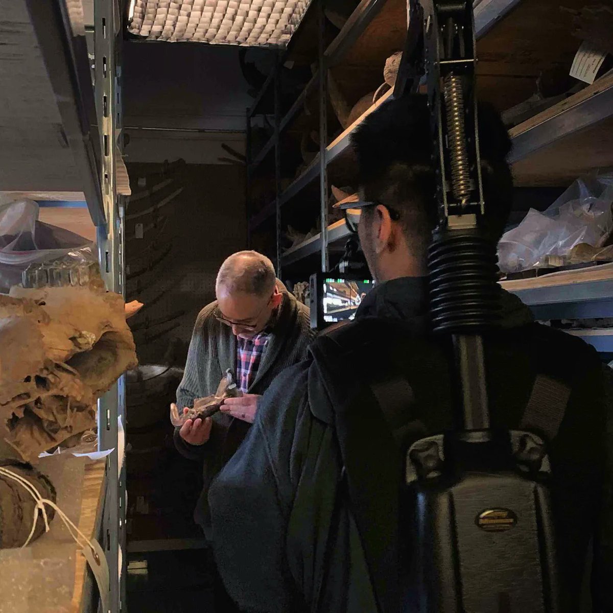 yukonberingia's tweet photo. Lights, camera, action! 🎬 We're at the Yukon Palaeontology lab filming with Dr Grant Zazula and Elizabeth Hall. These videos will be incorporated into some of the new exhibits coming to our main exhibit hall. Filming continues next week with more #Beringia experts. #BeringiaBTS https://t.co/UKJJRjdFmf