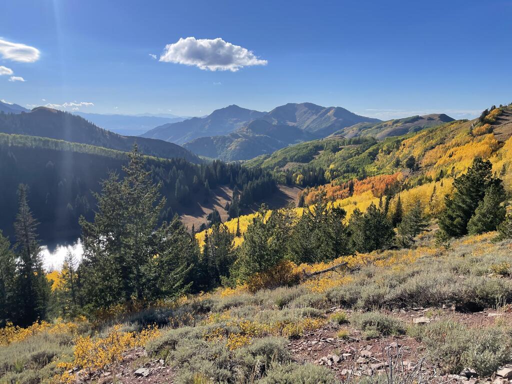 Fall foliage near Desolation Lake, Utah [4032x3024] [OC] via /mountainrunner_ ift.tt/yiDnbG2