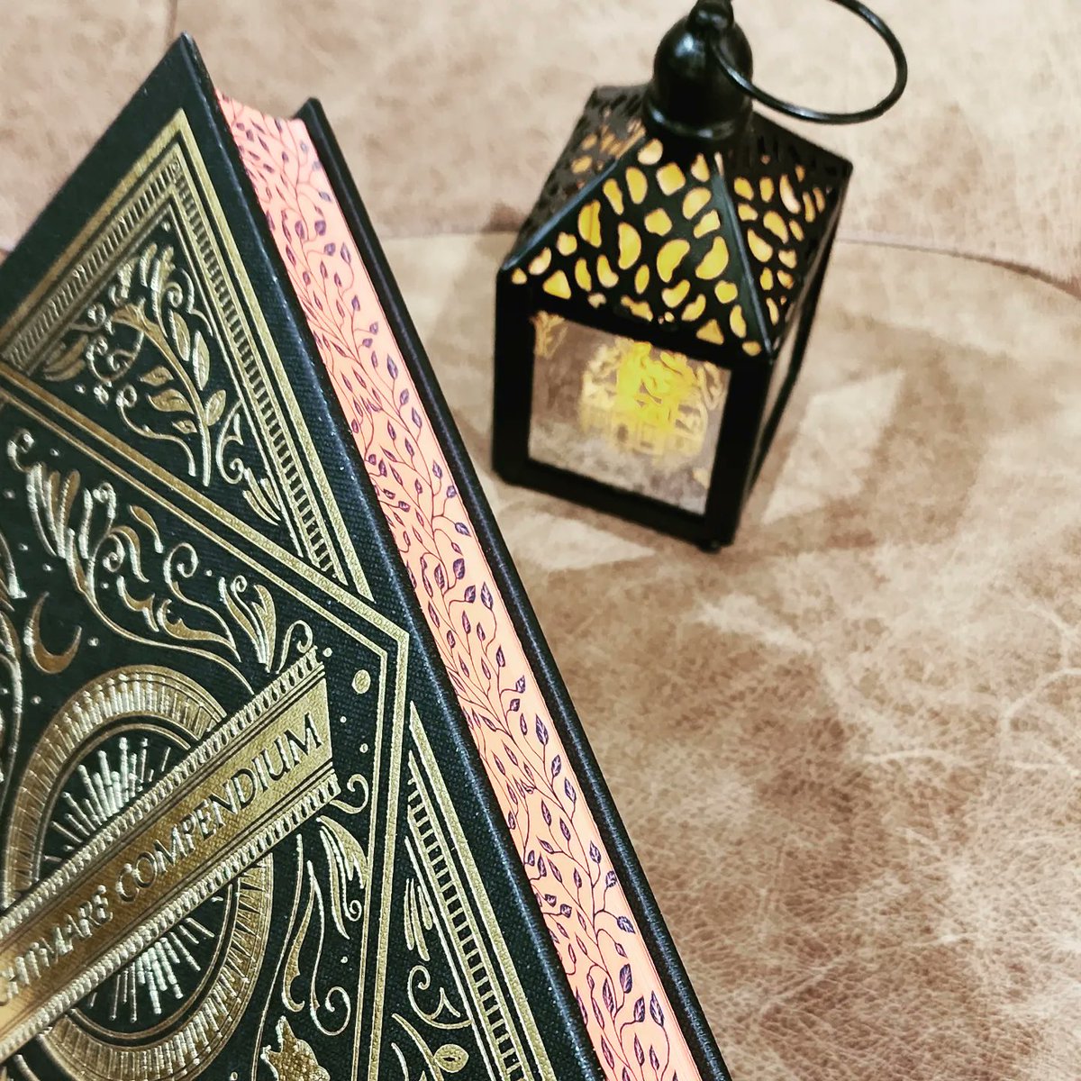 This beautiful gold foiled edition of The Luminaries was done by Illumicrate. 🤩

#illumicrateunboxing #illumicrate #illumicrateeditions #theluminaries #susandennard #illumicratenov2022 #bookbox #bookboxunboxing #booksubscriptionbox #bookstagram #bibliophile