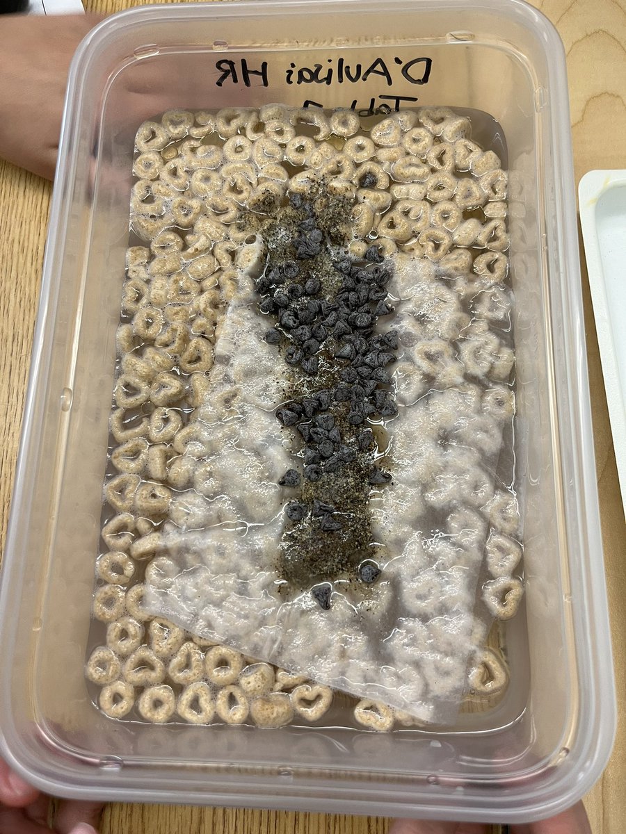 Ramona D'Aulisa (@rdaulisa) on Twitter photo 5th grade teams collaborated beautifully today to plan an investigation to figure out how to clean dirty water. First…simulate using a variety of household items to make clean water “dirty.” <a href="/DianeProvvido/">Diane Provvido</a> <a href="/DrMChristiansen/">Matt Christiansen, Ed.D.</a> <a href="/OSchoolsPR/">Oceanside School District #OSD_NY</a> <a href="/Mastrande_Oside/">Michelle Mastrande</a> 5th grade teams collaborated beautifully today to plan an investigation to figure out how to clean dirty water. First…simulate using a variety of household items to make clean water “dirty.” <a href="/DianeProvvido/">Diane Provvido</a> <a href="/DrMChristiansen/">Matt Christiansen, Ed.D.</a> <a href="/OSchoolsPR/">Oceanside School District #OSD_NY</a> <a href="/Mastrande_Oside/">Michelle Mastrande</a>