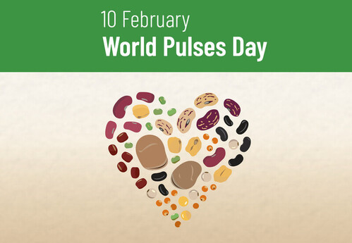 Today is #WorldPulsesDay. The edible seeds of leguminous plants are more than just a good source of plant protein. The nitrogen-fixing properties of pulses can help improve soil fertility and biodiversity, and reduce N fertiliser emissions. #LovePulses
fao.org/world-pulses-d…