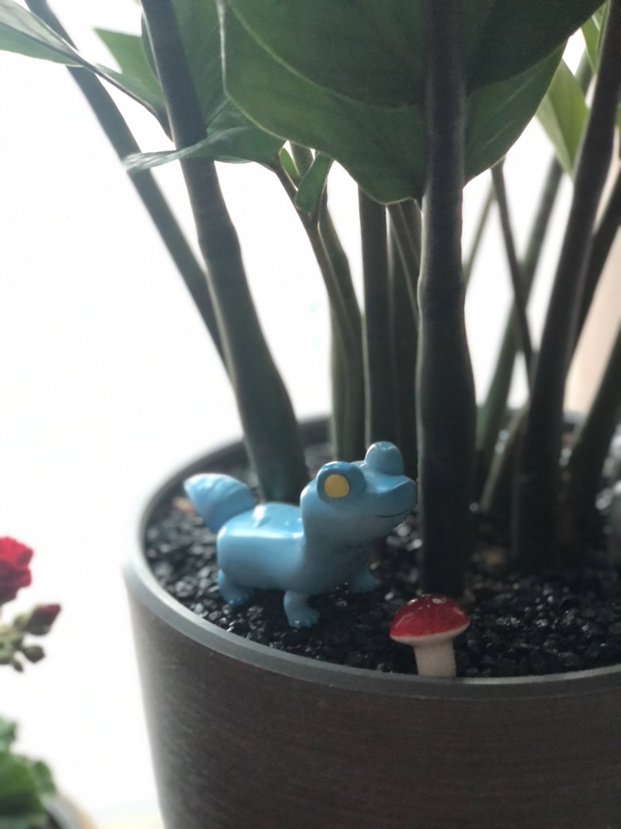 현생이 매우 치열하다 보니 새로운 친구들을 못 데려온 지 벌써 1년이 다 되어가는군요… 돈 많이 벌어서 꼭 둥들을 지구에 데려오도록 하겠습니다😂