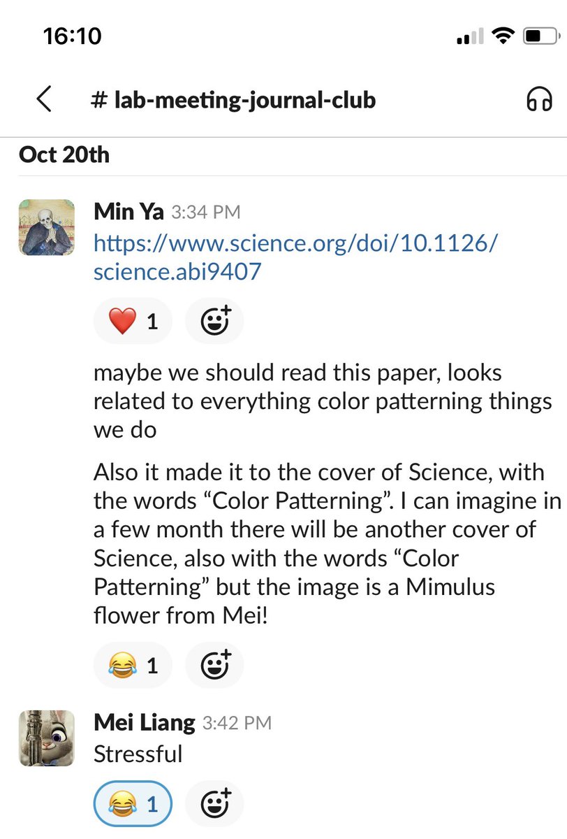 0_minyaaa's tweet photo. Of course I'm EXTREMELY proud of Mei @_MeeiLLL and the lab, I'll also give myself credit that I predicted this before the paper was accepted! Why? Because it's AN INCREDIBLE study! Rigorous &amp; beautiful science solving a long-standing question, revealing a surprising answer! https://t.co/RPBNbD75y3