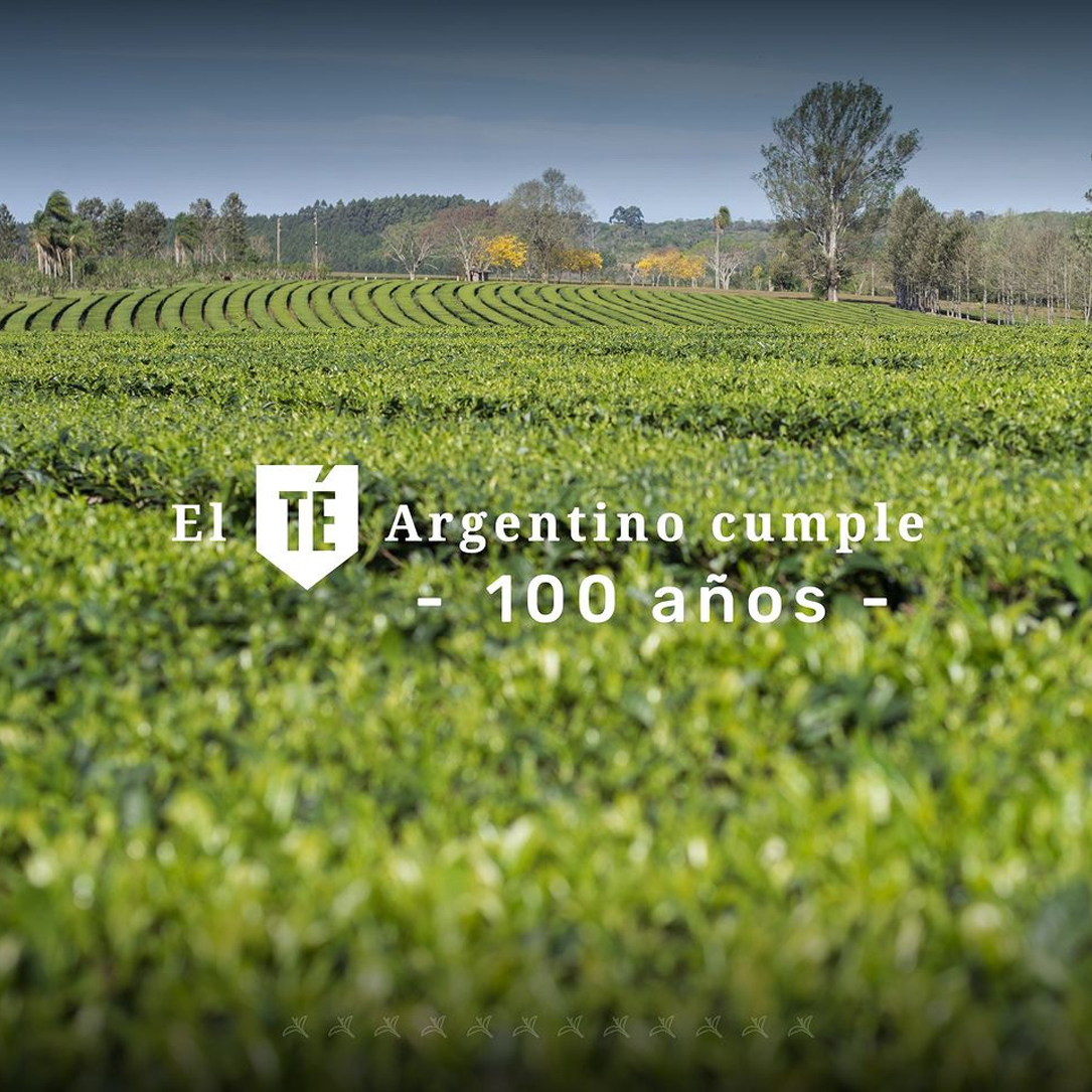 delteruta's tweet photo. ❤️ ¡El #téargentino cumple 100 años! Wladimiro Hnatiuk llegó desde #Ucrania junto a su familia y se instaló en #TresCapones, donde se sembraron las primeras plantaciones de #té en #Argentina. 🌱 ¡Por muchos más años de té #argentino! https://t.co/JYloD3gx25
