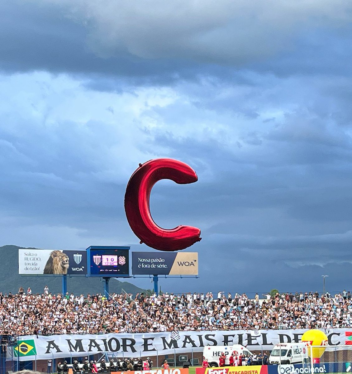 torquatoafc's tweet photo. https://t.co/IhkbQpP7wq