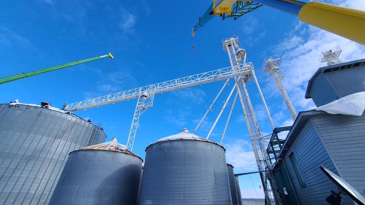 tenwattandrew's tweet photo. #craneday https://t.co/rbWgXUQY62