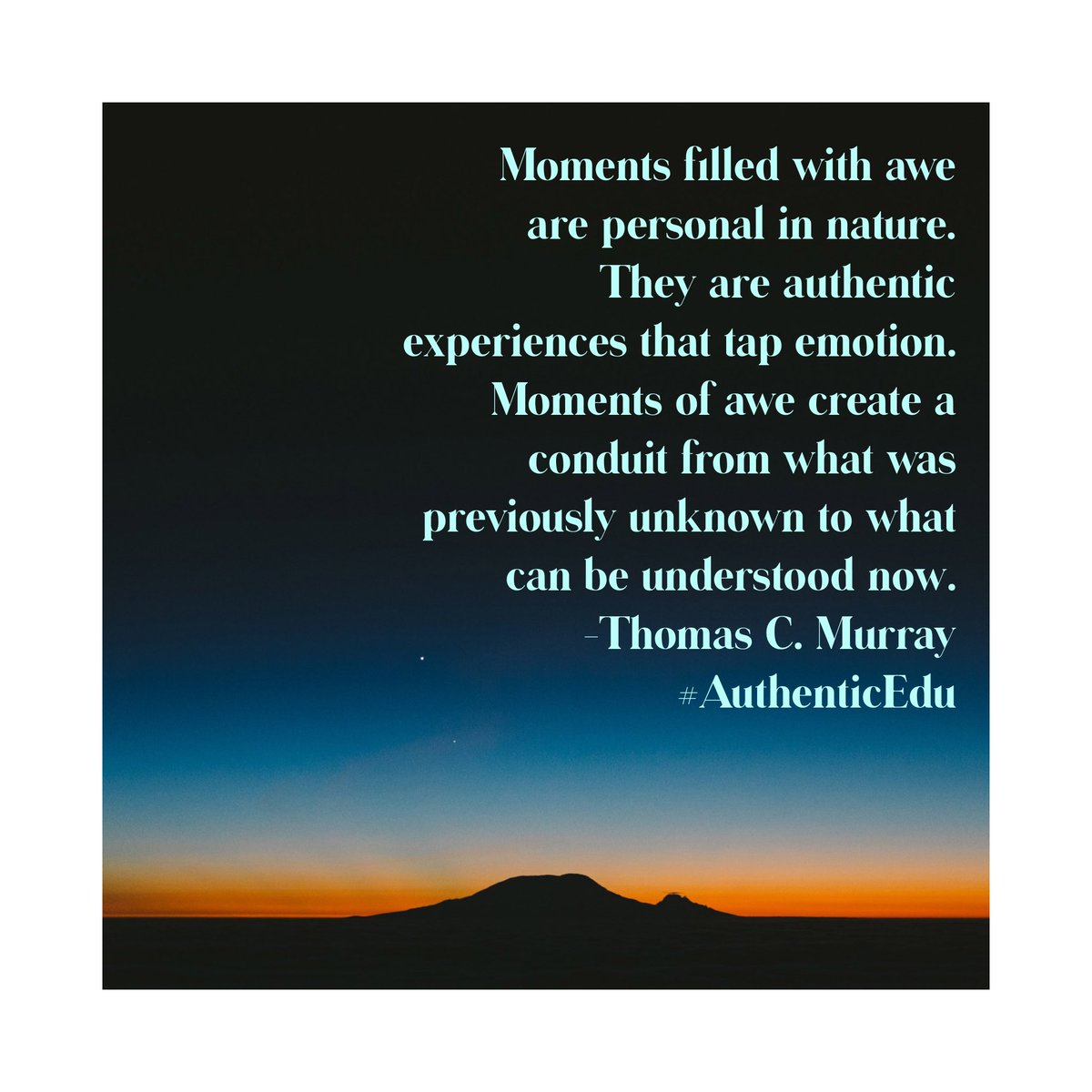 Amanda Kavanagh tweet media