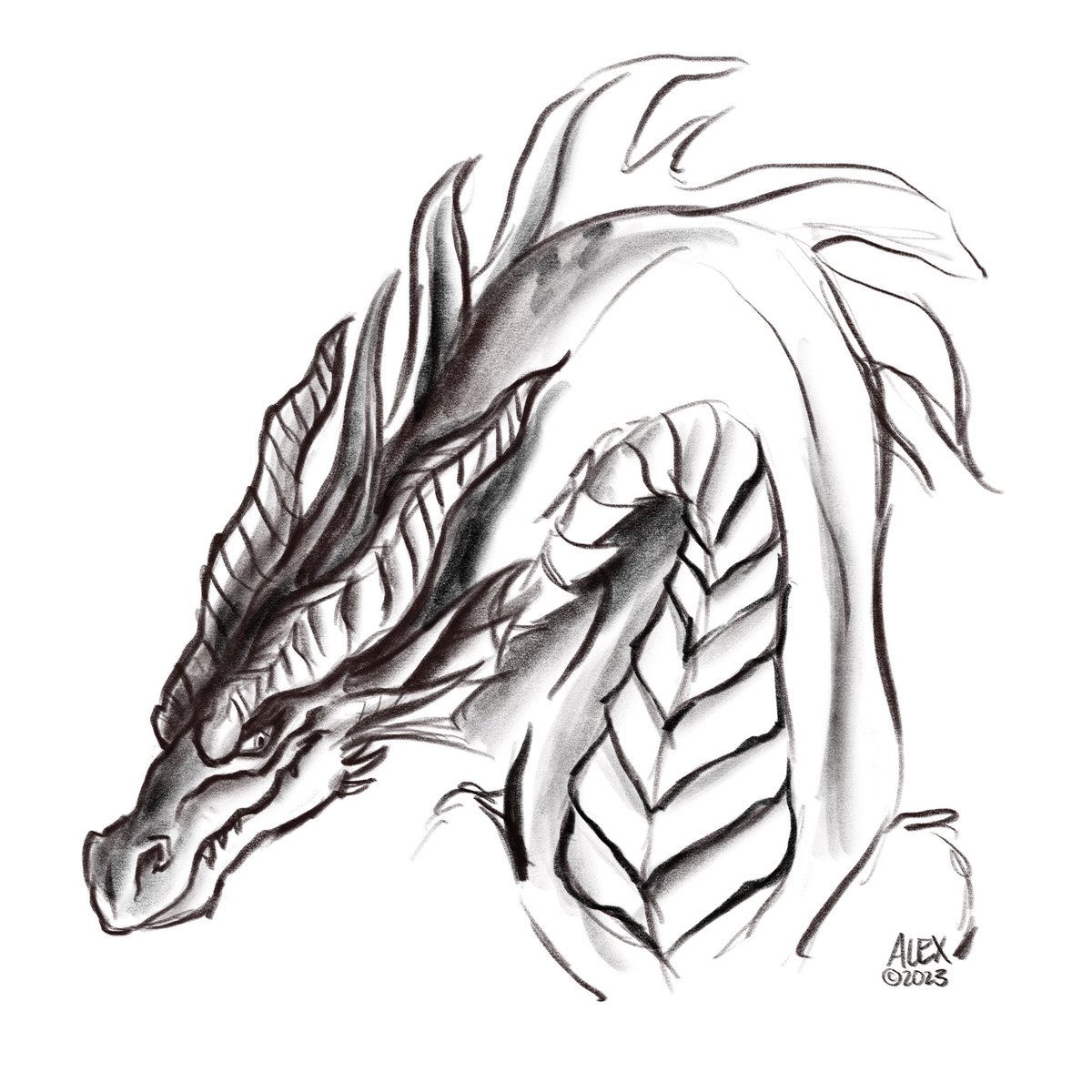 scripta_bene's tweet image. One of my tutees this week asked to learn how to draw a dragon—it was so good to go back to dragon art again. 🐉

Definitely hoping to do more… 

#dragonart #artutor #fantasyart #cartoonist #illustrator #tolkien #hobbit