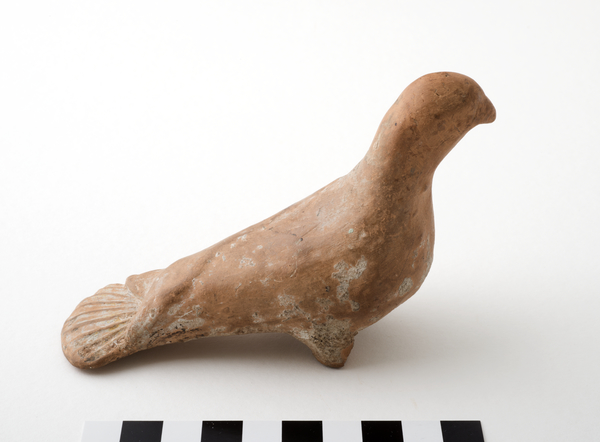 Our #objectoftheweek is MU0839, a #ceramic #dove, possibly from #Athens, c. 450 BCE.

#Animals feature frequently in both modern and ancient ceramics. #MUHM #ancientceramics #animalpottery