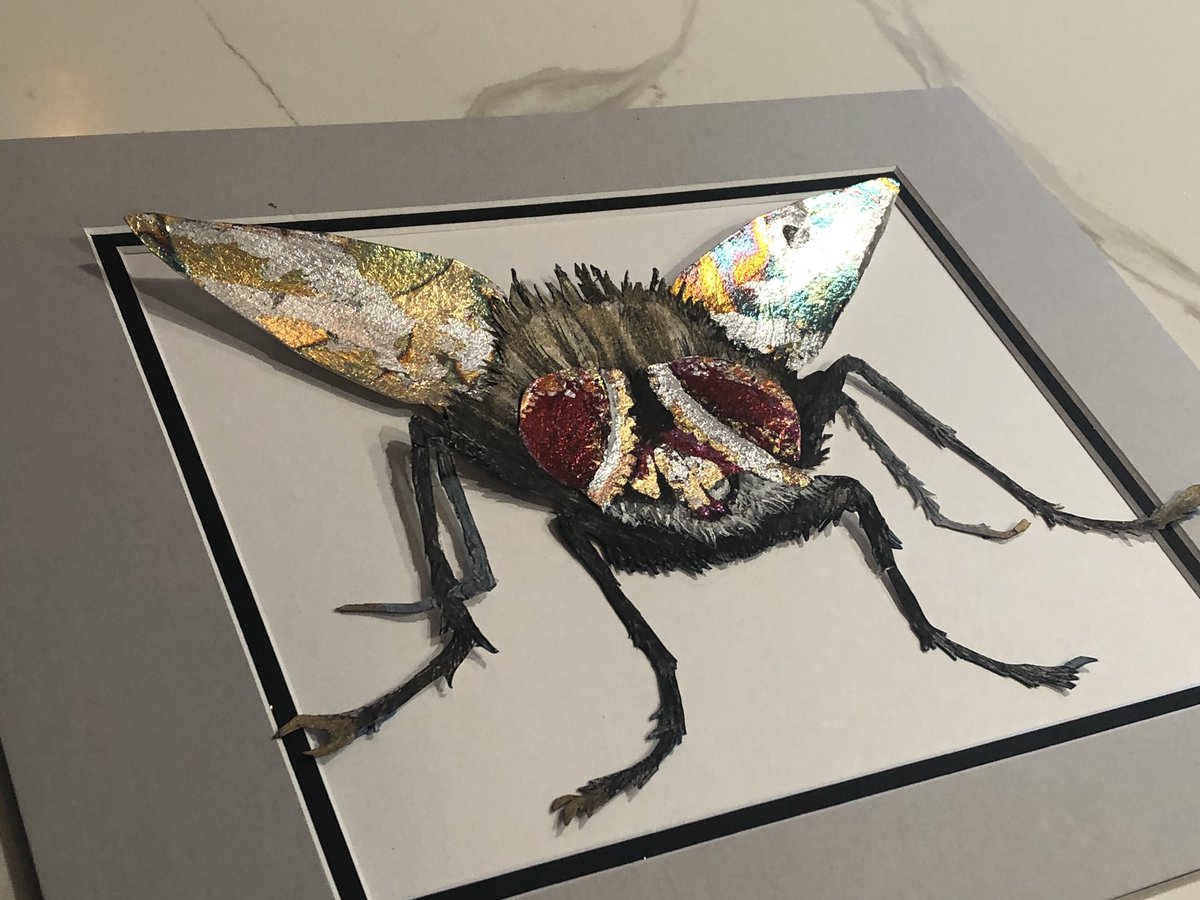 tjcervantesart's tweet photo. I know an old lady who swallowed a fly…perhaps she’ll die. #flyart #metalleaf #original art #mixedmedia https://t.co/rbNNJx8U0x