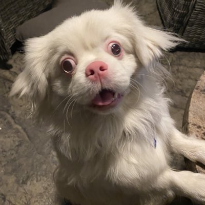 seriouslyjok8's tweet photo. #NewProfilePic https://t.co/YxYPuRv47Z