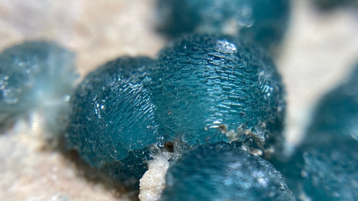 blue_gradation8's tweet image. #一日一鉱物
2/10
ワーベライト
欲しいけどレアタイプ😔
と思っていたら、年明けに某Yさんがバズってましたね。笑
その後つぐこみねらるずさん @TMF0330 の事前告知ツイートを見て、絶対欲しい！とスナイプしました😊
財布は死んだけど…
でもほんと可愛い！！
銀星石という名前も良いですよね✨