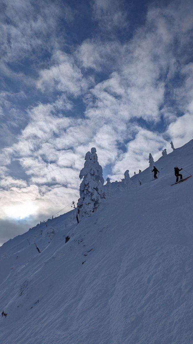 Th3PurpleDon's tweet image. I couldn't stay off the Polar Chutes this afternoon ❄️🇨🇦⛷️😍

And I finally discovered a new favourite area of the mountain 🌲🏔️🤩

#LoveFernie #FernieStoke #SkiFernie #FernieAlpineResort #Skiing