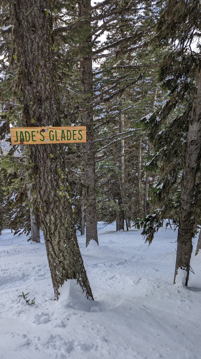 Th3PurpleDon's tweet image. I couldn't stay off the Polar Chutes this afternoon ❄️🇨🇦⛷️😍

And I finally discovered a new favourite area of the mountain 🌲🏔️🤩

#LoveFernie #FernieStoke #SkiFernie #FernieAlpineResort #Skiing