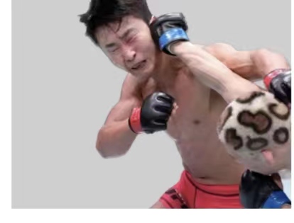 lhachuang's tweet photo. @danawhite Wrong Lee https://t.co/CXP0DGIBQC