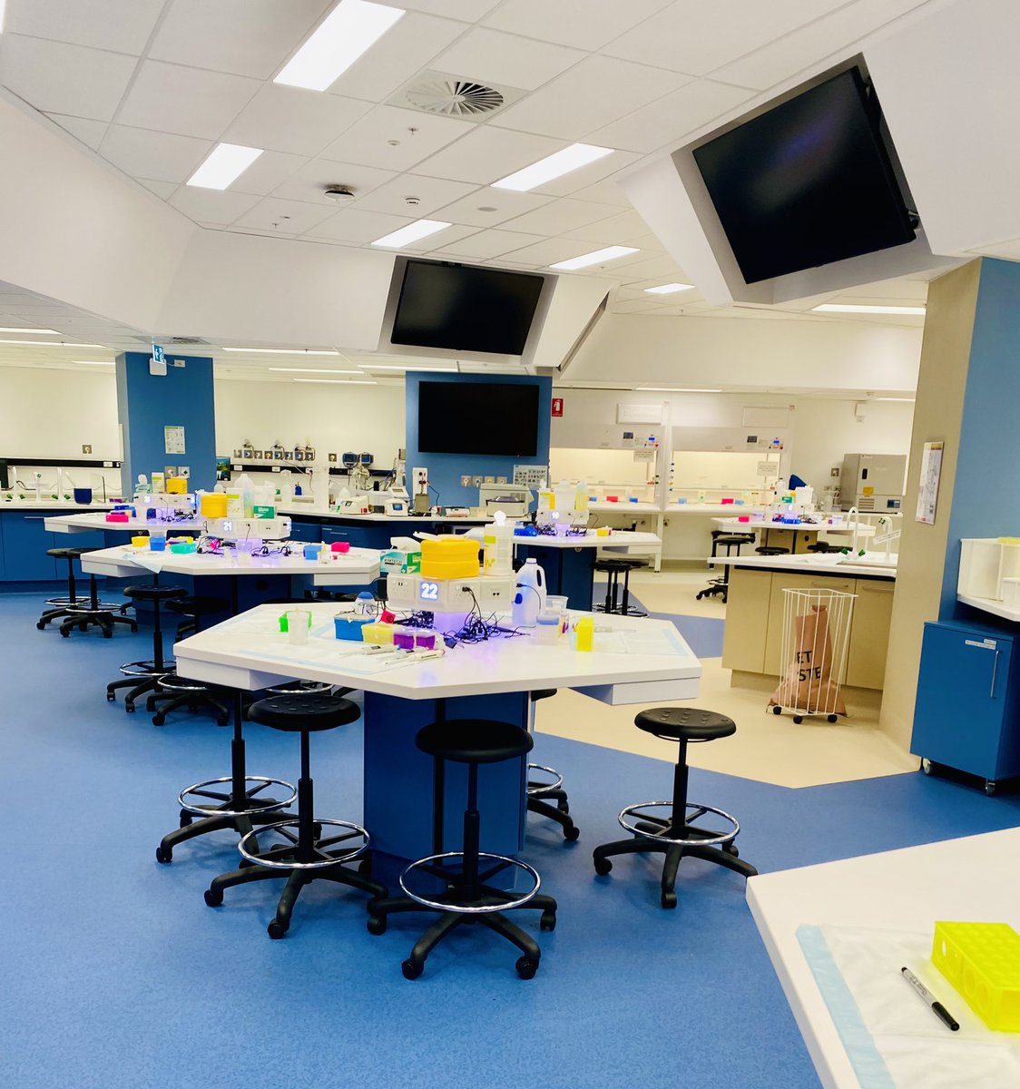 Louise Cole tweet media