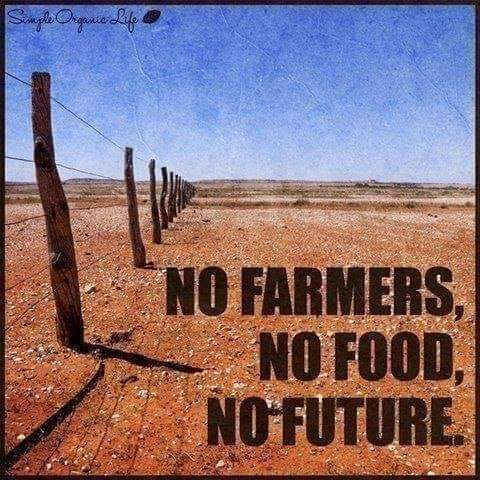 Food for thought!!! 
#ConsciousPlanet 
#NoSoilNoFood 
#SaveSoil 
#Sadhguru 
#ishafoundation