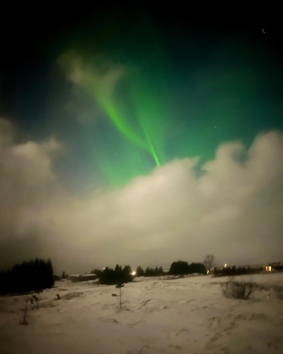 YourBoyMoyo's tweet photo. Bodacious Iceland Spectacles 🇮🇸 https://t.co/jTLKFSQzoJ