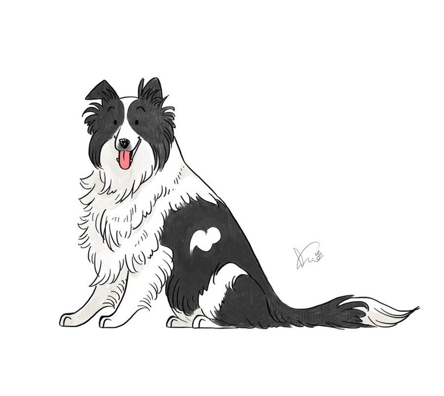 誰よりも犬を魅力的に描けるようになりたい一心で続けてたら、長年夢見