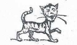 NeatCastPod's tweet photo. Which hex cat you fighting? #2 lookin weak. Check out episode 109 for the story of the tumbling run valley hex cat. #hexcat #cursed #comedy #neatcast https://t.co/moZgnCbO7M