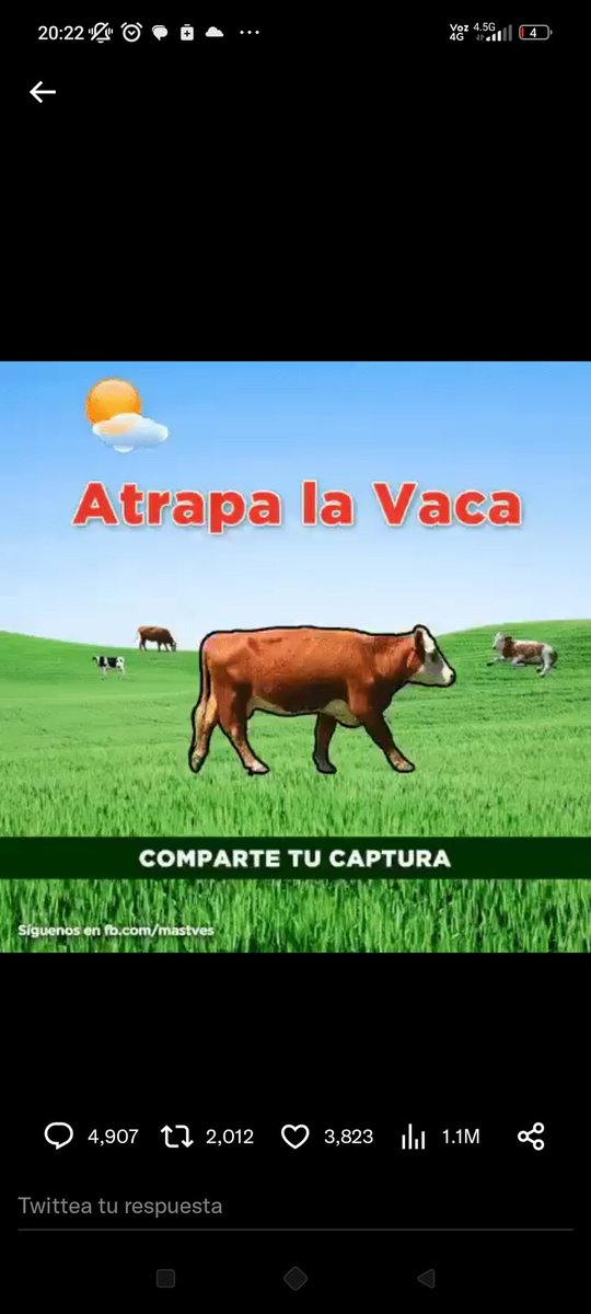 esperaunpocomas's tweet photo. @momentoviral https://t.co/3lrP04sv4e