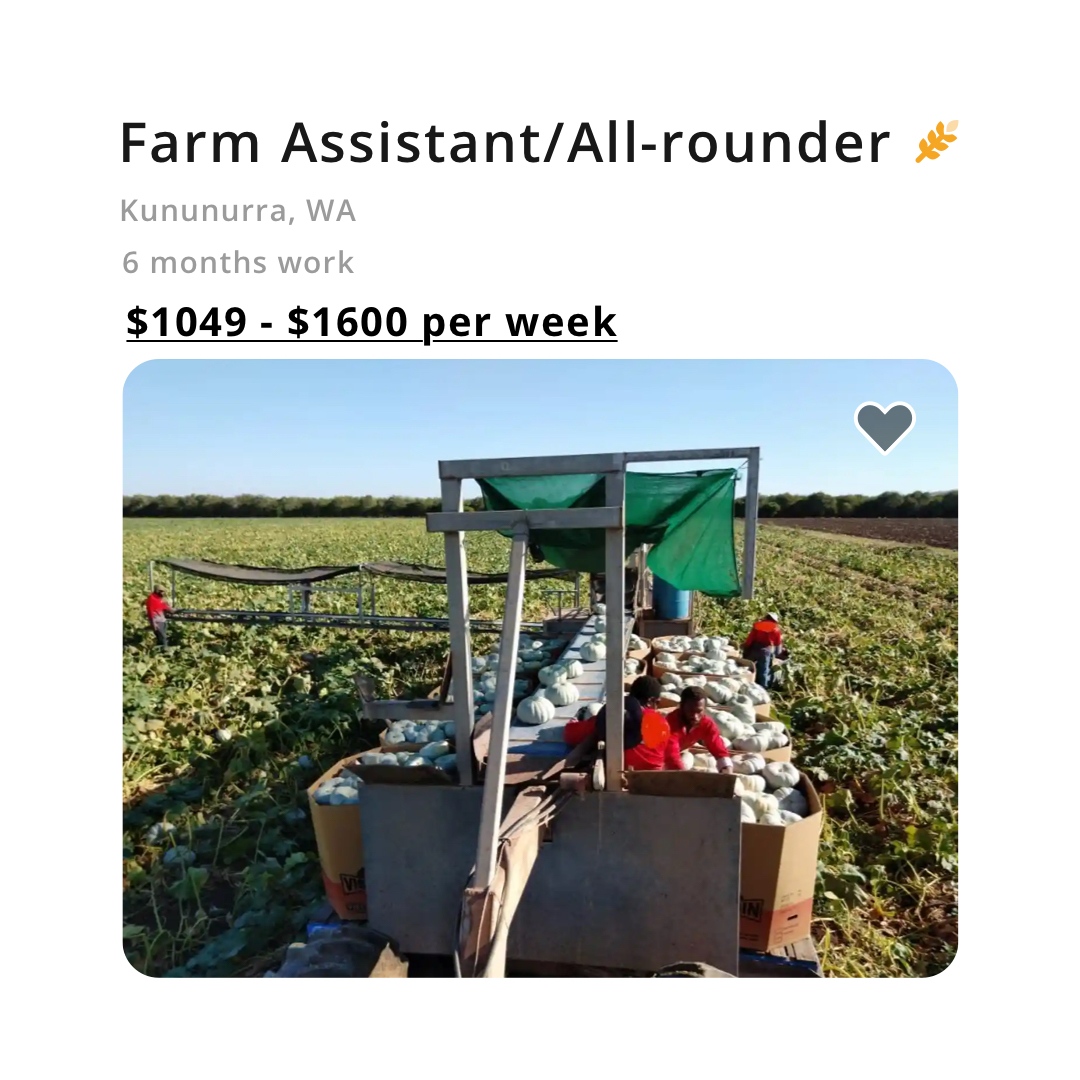 waytreeofficial's tweet photo. *** DON'T PAY FOR JOB ADS *** 
➡️  https://t.co/X5iy4vzfoK
.
❤️ Tag a grower who needs to see this.
#ausag #agchatoz #ausagtech #farm #assistant #kununurra #ntfarmers #allrounder https://t.co/i4W6QtjuJD
