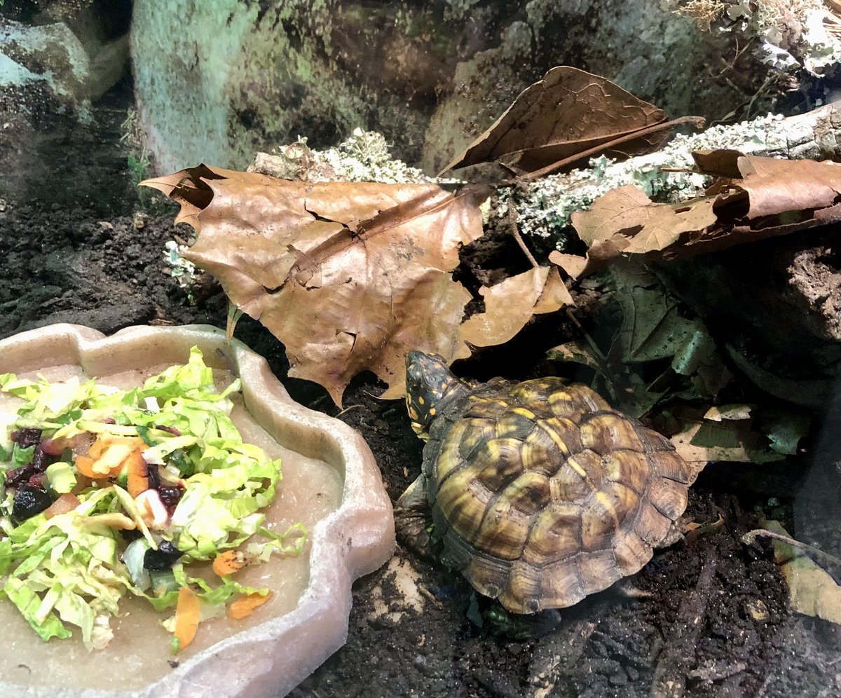 Nancy Danielides tweet media