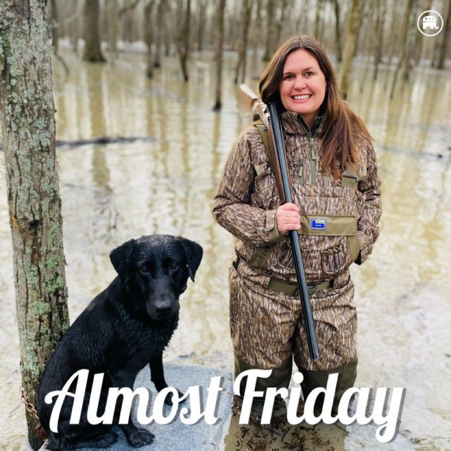 mikescollins's tweet image. jesus christ what happens to this dog on friday