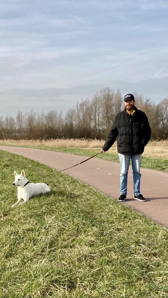 San Holo ↑% ⚠️ tweet media