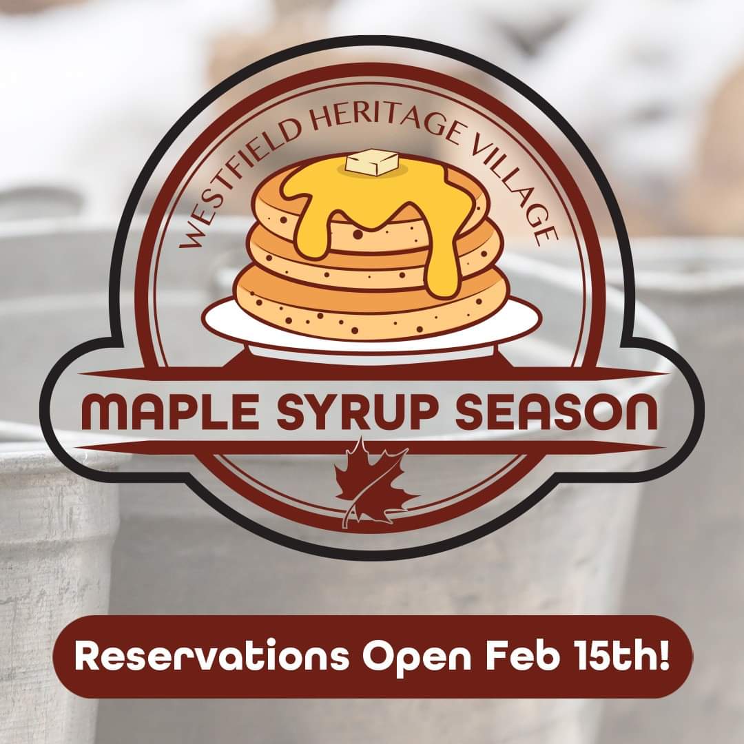 Hamilton CA tweet media