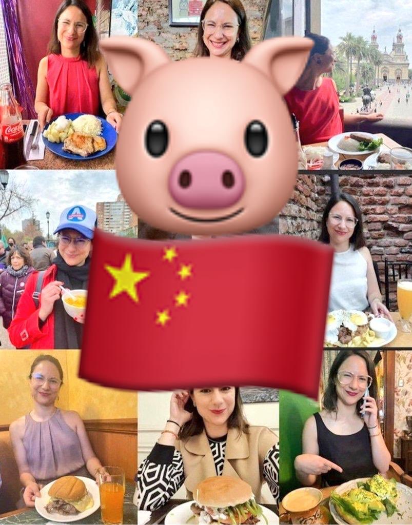 Fuchslocher1978's tweet photo. Chancha China
@IraciHassler
#FuckBoric https://t.co/xs3fSgW3uT